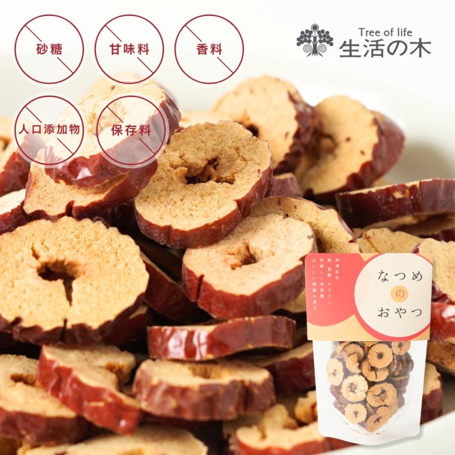 生活の木 公式 なつめのおやつ なつめチップス 40g おやつ お茶うけ
