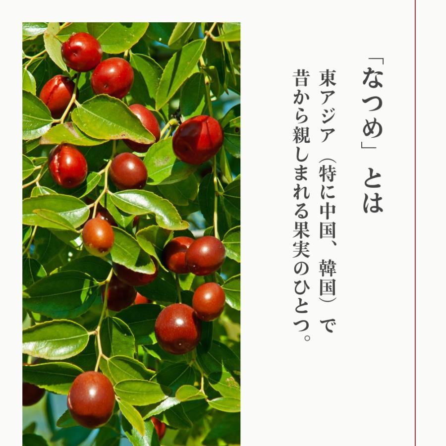 生活の木 公式 なつめのおやつ そのままなつめ 40g おやつ お茶うけ