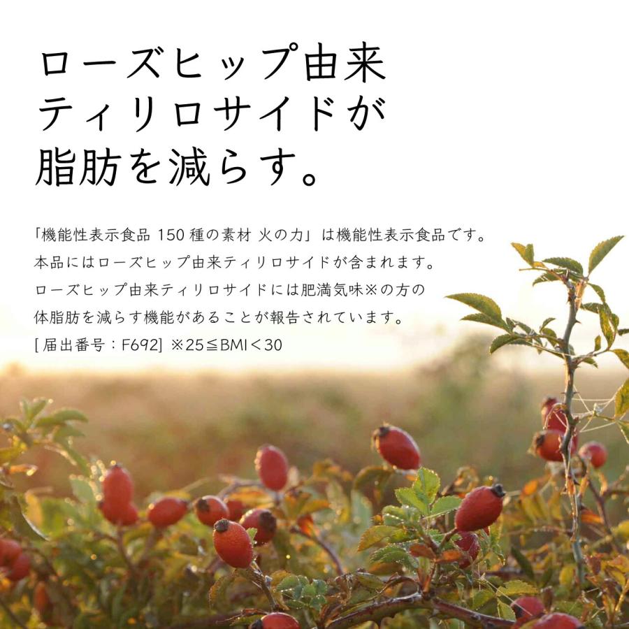 生活の木 公式 植物発酵エキス配合ドリンク 150種の素材 火の力 300ml
