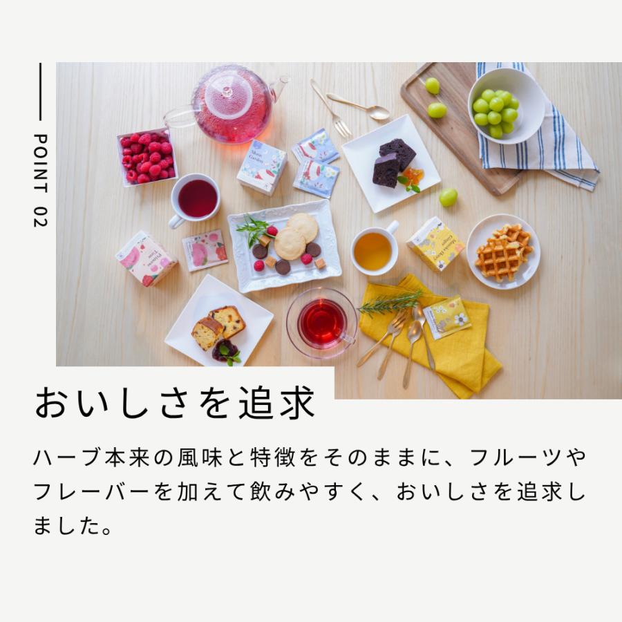生活の木 公式 おいしいハーブティー アソートボックス ハーブ ハーブ