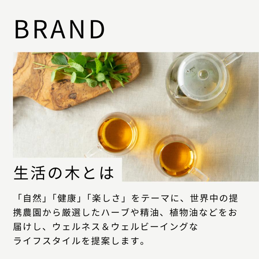 生活の木 公式 おいしいハーブティー アソートボックス ハーブ ハーブ