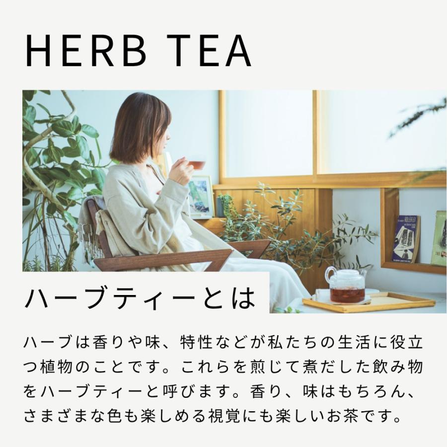 生活の木 公式 おいしいハーブティー アソートボックス ハーブ ハーブ