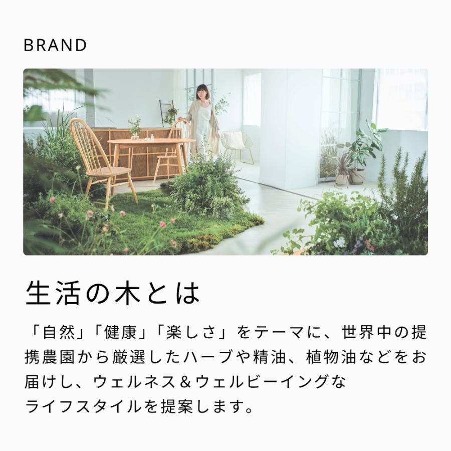 生活の木 公式 水出しできる。おいしいハーブティー 洋なしとリンデン