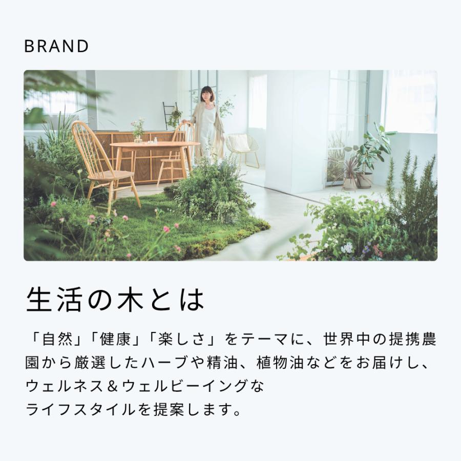 生活の木 公式 有機ペパーミント ティーバッグ / Organic Peppermint