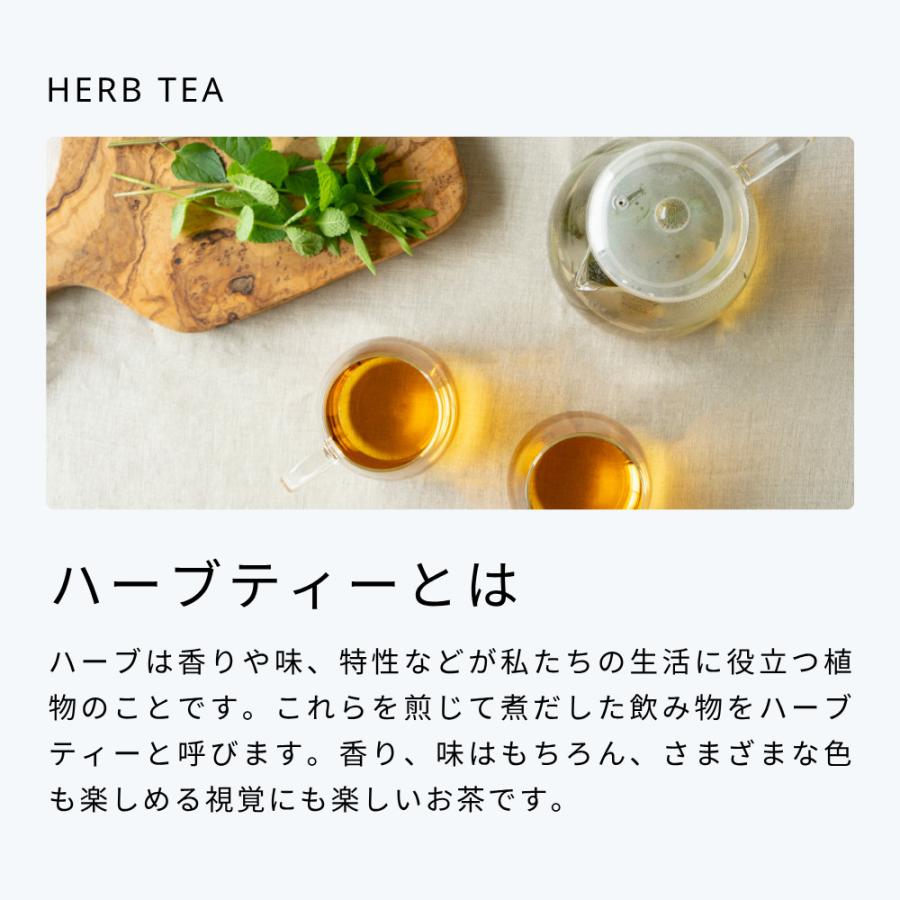 生活の木 公式 有機ペパーミント ティーバッグ / Organic Peppermint