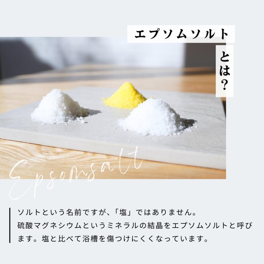 生活の木 公式 エプソムバスソルト 1包 60g お宿気分 バスソルト 硫酸