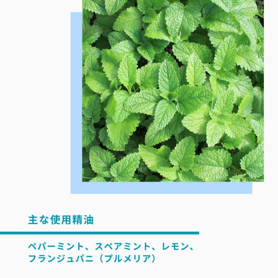 生活の木 公式 ブレンドエッセンシャルオイル パステルグリーンミント