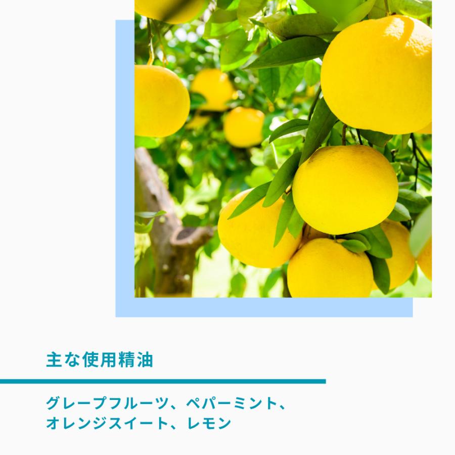 生活の木 公式 ブレンドエッセンシャルオイル パステルレモンイエロー 