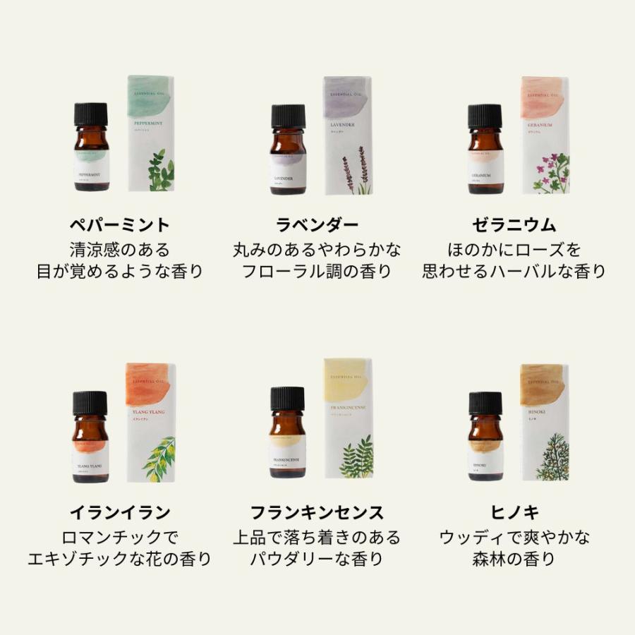 生活の木 公式 大人気エッセンシャルオイル12本セット 5ml×12種類 福袋