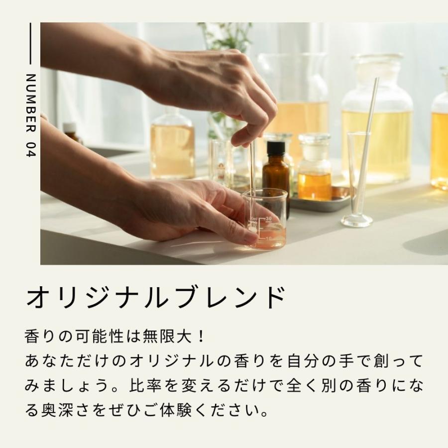 生活の木 公式 大人気エッセンシャルオイル12本セット 5ml×12種類 福袋