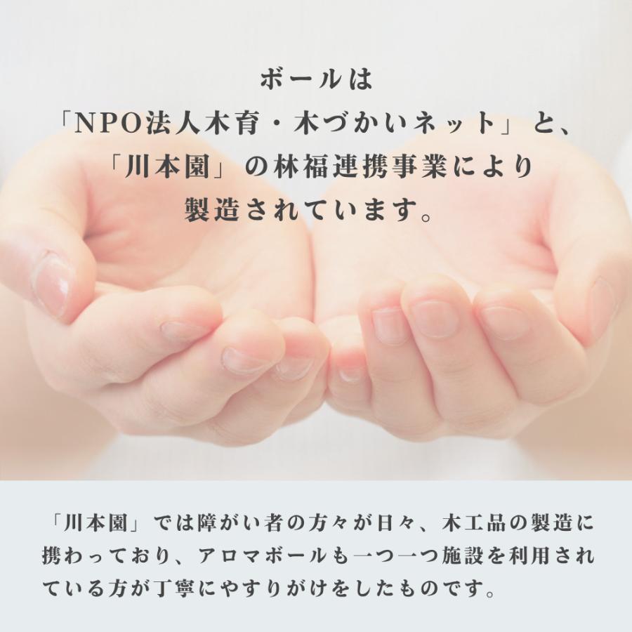 生活の木 公式 Hinokiアロマボール 国産 ヒノキ 檜 桧 天然木