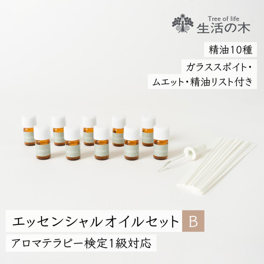 新品未開封 やさしいアロマ生活 エッセンシャルオイルセット(18本) 生活の木 公式 エッセンシャルオイル入門セットB アロマテラピー検定1