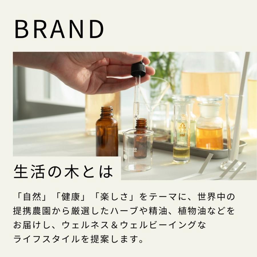 生活の木 公式 ジャスミンAbs.（25%希釈）精油 / Jasmine Abs. 3ml