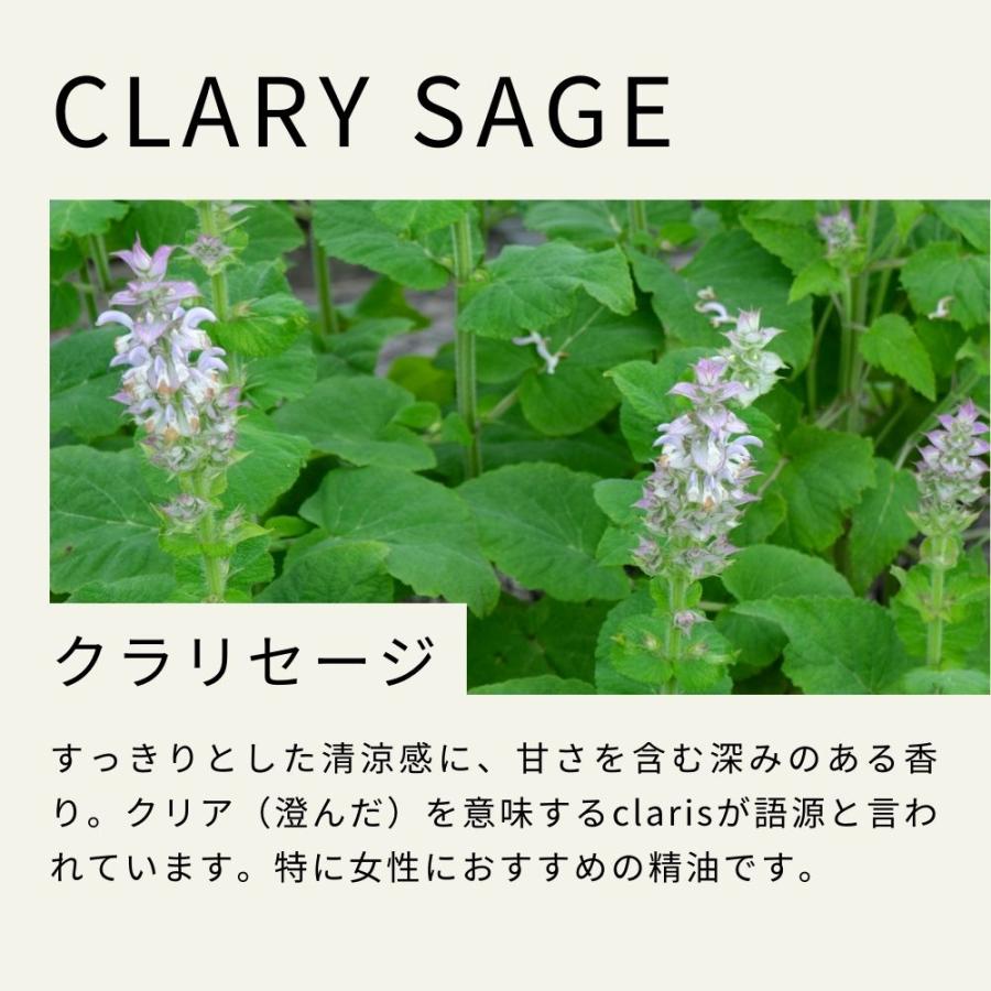 生活の木 公式 クラリセージ精油 / Clary sage 3ml アロマ アロマ
