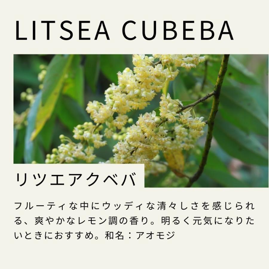 生活の木 公式 リツエアクベバ精油 / Litsea cubeba 10ml アロマ