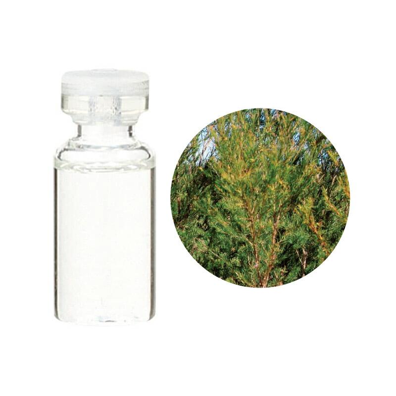 生活の木 公式 ティートゥリー精油 / Tea tree 50ml アロマオイル