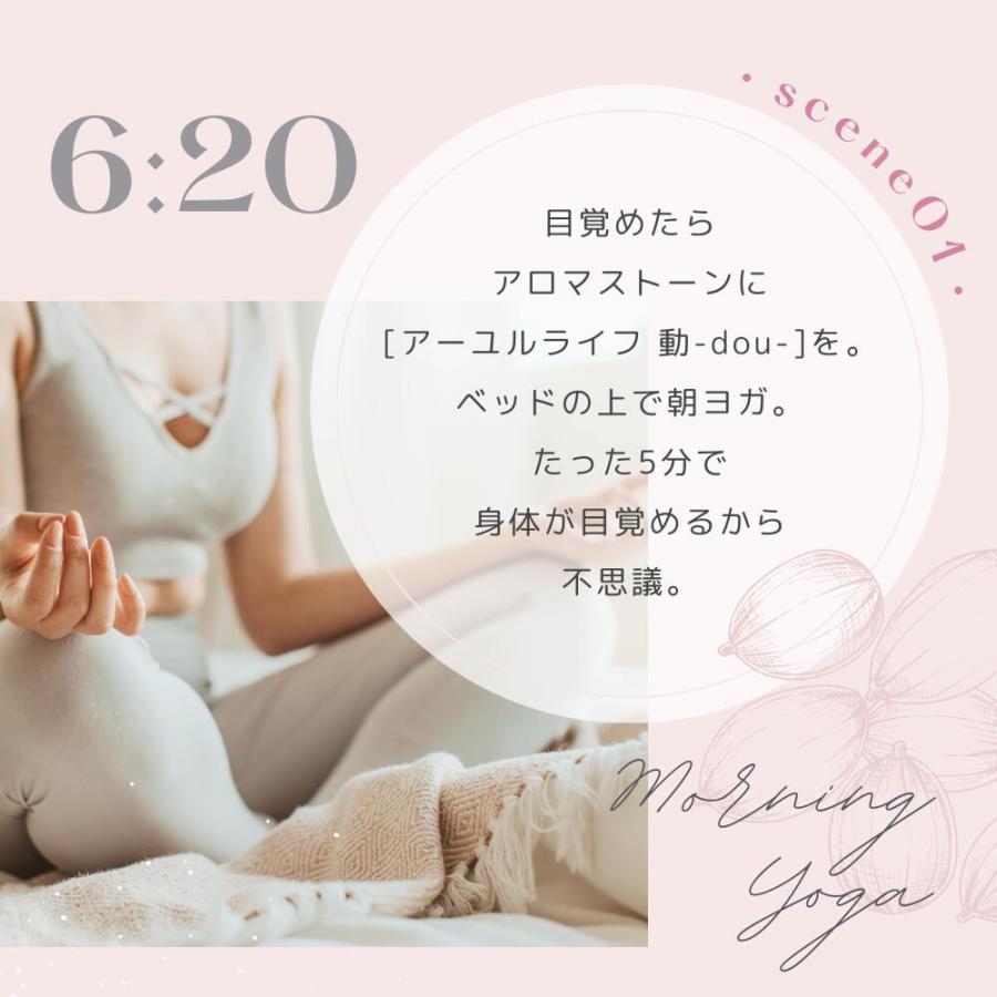 生活の木 公式 アロマストーン ローズ（サシェ付き） 正規品 アロマ
