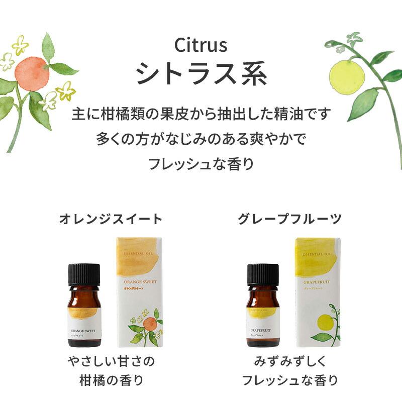 生活の木 公式 人気アロマ 選べる5本セット 5ml アロマ アロマオイル