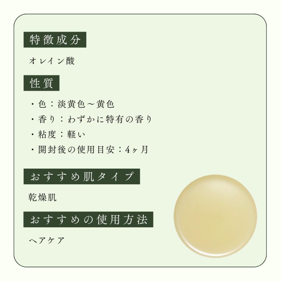 生活の木 公式 椿 (カメリア) オイル / Camellia 250ml 植物油 プラントオイル Plant oil キャリアオイル トリートメントの画像