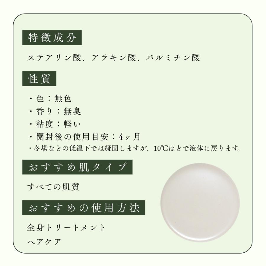 生活の木 公式 ホホバオイル・クリア 精製 / Jojoba Clear (Refined) 500ml 植物油 プラントオイル Plant oil キャリアオイル トリートメントの画像