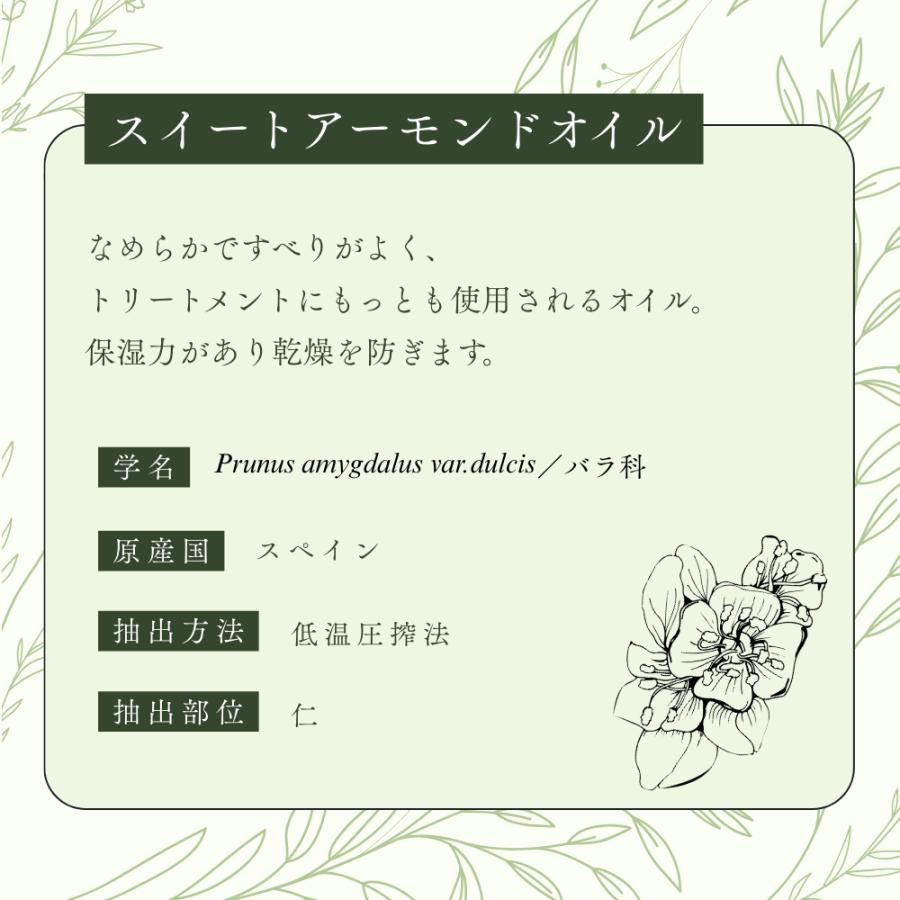 生活の木 公式 スイートアーモンドオイル / Sweet Almond 1000ml 植物油 プラントオイル Plant oil キャリアオイル トリートメントの画像