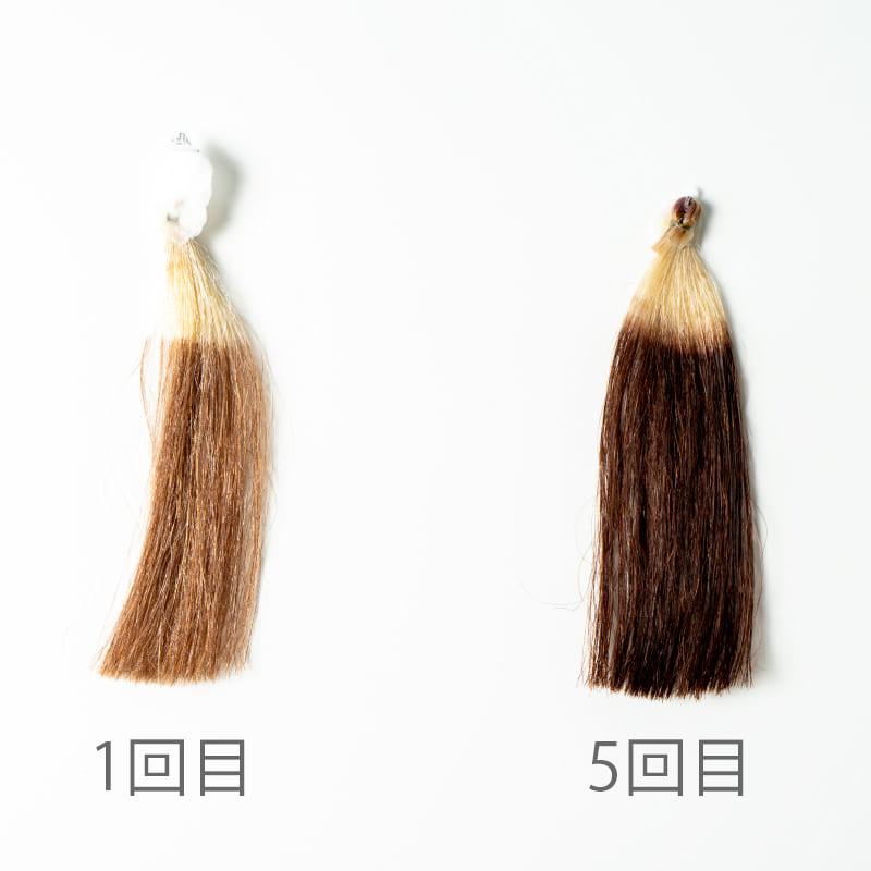 生活の木 公式 ヘアカラー トリートメント ダークブラウン 200g 暖色