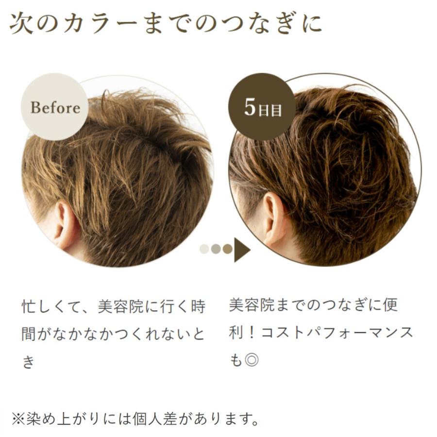 生活の木 公式 ヘアカラー トリートメント ナチュラルブラック 200g