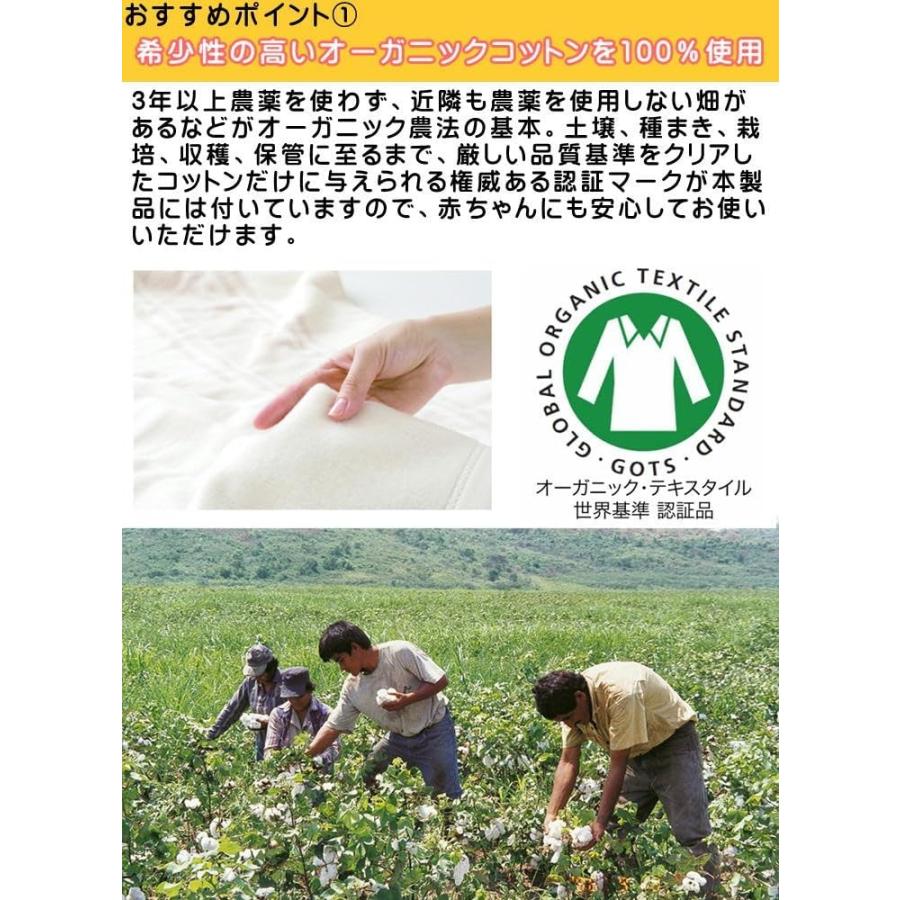 【期間限定ポイント10倍】ゼンケン 電磁波99％カット 電気掛け敷き オーガニックコットン毛布 ZB-OC102 コットン100％ 電気毛布 暖房器具の画像