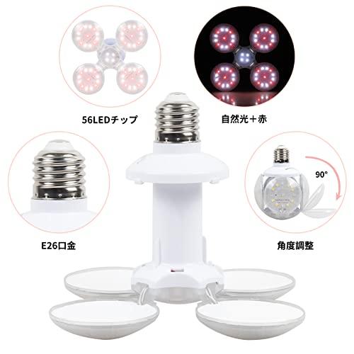 SINJIAlight 植物育成ライト 50W相当 小型コンパクト 折りたたみ可能 フルスペクトル e26口金 56個LED 光補足 日照不足解消 室|trees-store|02