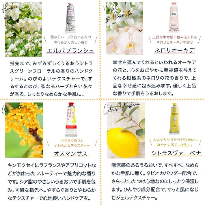 プレゼント 女性 彼女 ロクシタン ギフト ハンドクリーム 30ml 2本  コットンエコバッグ セット ルームフレグランス L'OCCITANE 匂い 香り | L'OCCITANE | 11