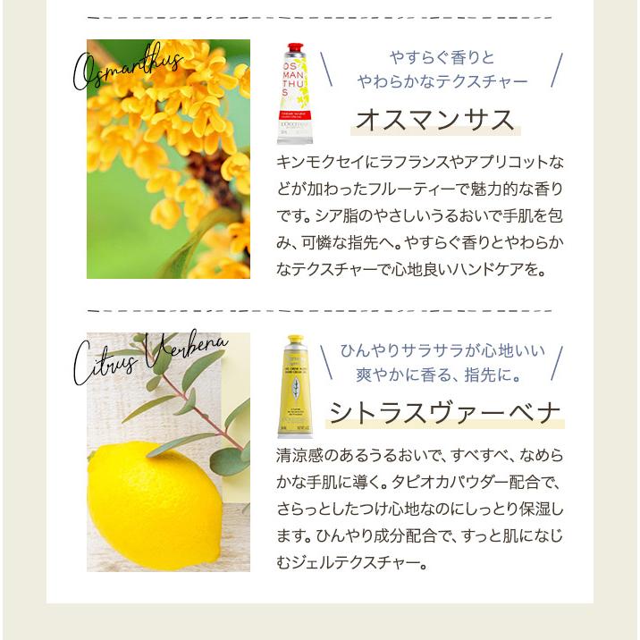 母の日 選べる ロクシタン L'OCCITANE ハンドクリーム 2本 ギフト ナチュラル2WAYバッグ セット L (ルームフレグランス タオル) 送料無料(北海道・沖縄除外)｜trefle｜08