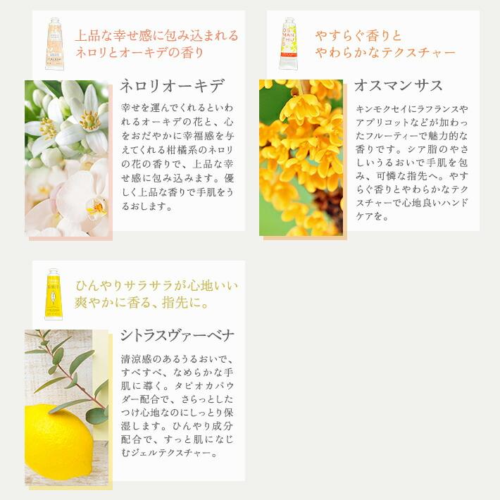 ロクシタン ハンドクリーム ギフト セット 30ml 女性 誕生日 プレゼント シルエット ティッシュポーチ ソープフラワー 陶器プレート | L'OCCITANE | 04