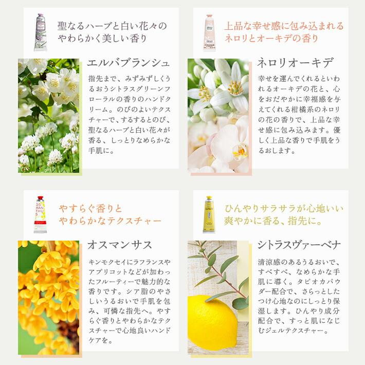 ギフト プレゼント 女性 ロクシタン ギフト ハンドクリーム 30ml アレンジボックス セット クローバー バスフィズ 入浴剤 L'OCCITANE 保湿 | L'OCCITANE | 04