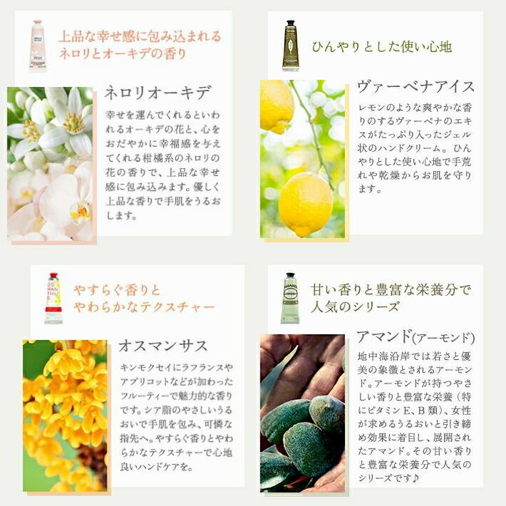 プレゼント 女性 彼女 ロクシタン ハンドクリーム 30ml ギフト ロマンティックタオル セット 人気 プチギフト L'OCCITANE 保湿 香り ネコポス | L'OCCITANE | 06