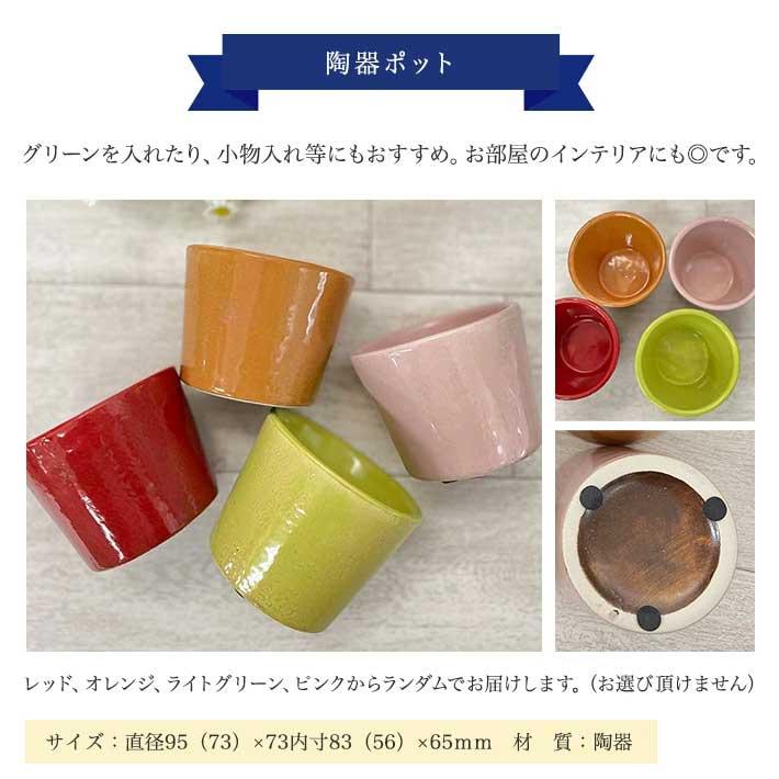 ロクシタン ハンドクリーム ギフト セット ミニ 10ml 女性 誕生日 プレゼント ベアイン 陶器ポット  クマ くま タオル | L'OCCITANE | 09