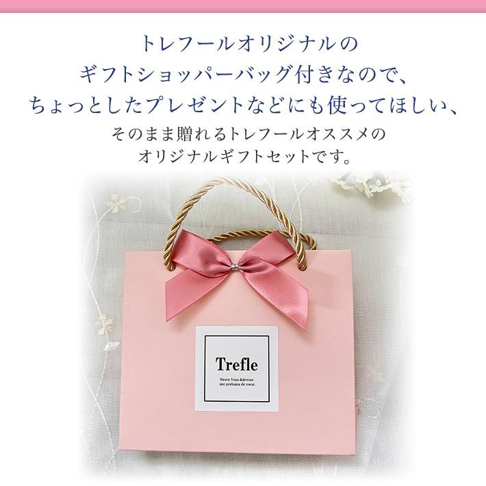 過激な淑女、シャントット ギフトバンドル産 拡張 英語 foil