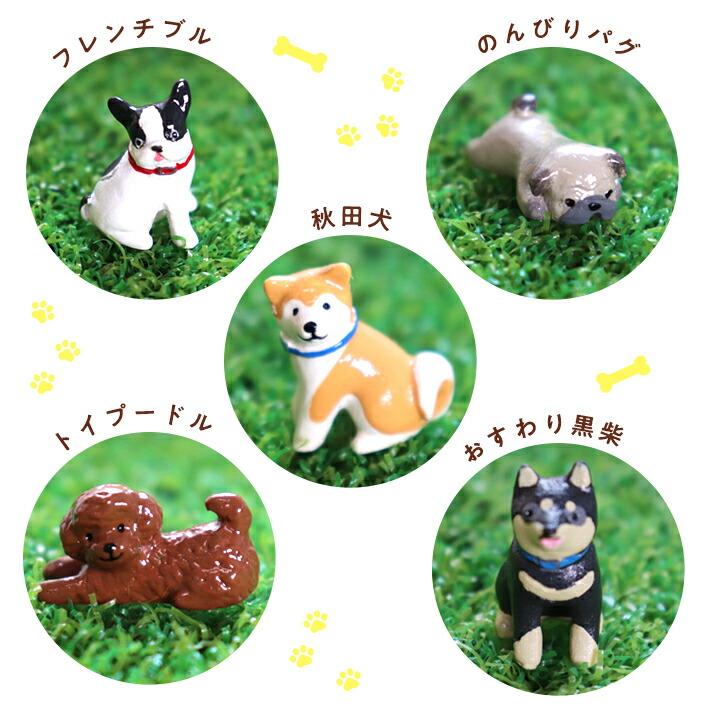 ノーティー アンチュール アニマル ミニ マスコット ドッグ 5匹セット