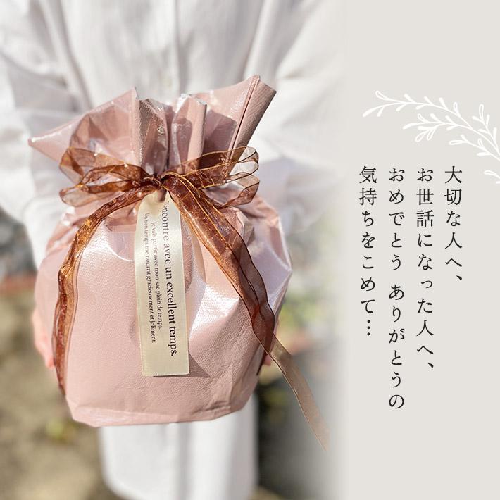 母の日 ギフト 2026 プレゼント 女性 ロクシタン ハンドクリーム 30ml ギフト アフタヌーンティーセット カップ＆ソーサー ティープレート タオル 入浴剤 | L'OCCITANE | 11