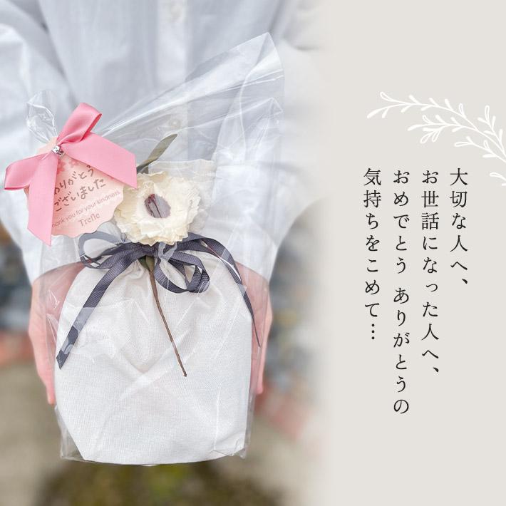 プレゼント 女性 彼女 ロクシタン ハンドクリーム 10ml ギフト アロマオイル ＆ ミニボトル セット タオル 巾着 保湿 香り 母の日 お母さん | L'OCCITANE | 12