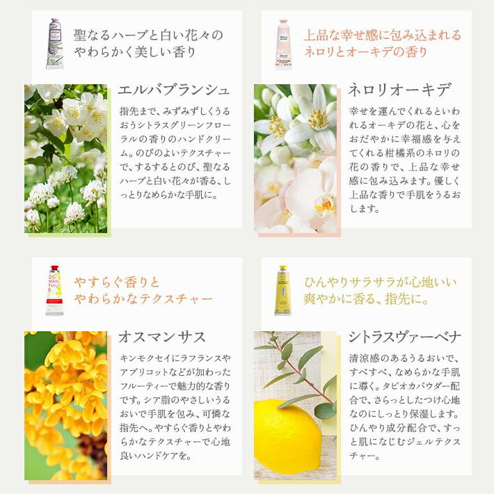 ロクシタン ハンドクリーム プチ ギフト セット 30ml 女性 誕生日 プレゼント サンキャッチャー＆オーガンジー巾着 | L'OCCITANE | 04