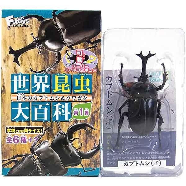 1 エフトイズ 世界昆虫大百科 第1弾 日本のカブトムシ クワガタ カブトムシ 雄 オス 単品 春新作の