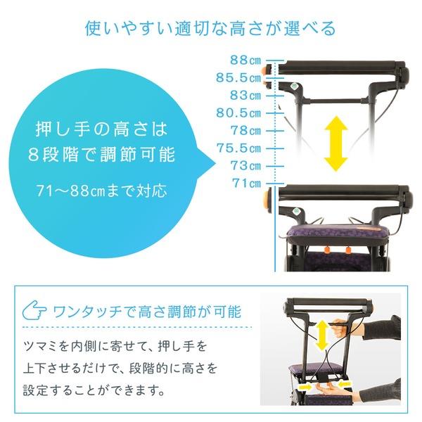 ★レア物 新品未開封 超軽量シルバーカー/手押し車 〔コンパクトタイプ〕 バック付き 幸和製作所 『テイコブナノン』 フラワーブラック 【1720225298】(10769円)