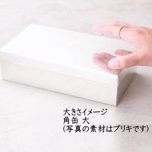 SyuRo（シュロ） 角缶 大 銅 日本製 インテリア : TREMOLO トレモロ