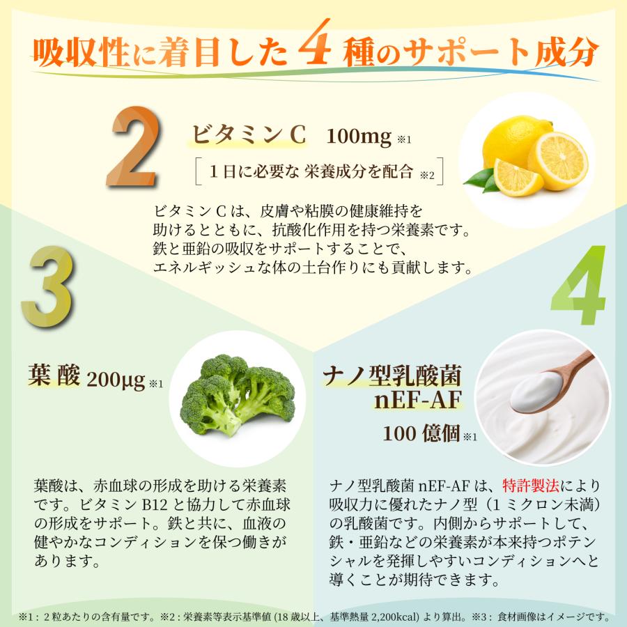 鉄分 亜鉛 ビタミンB サプリメント【医師 管理栄養士 W監修】 乳酸菌