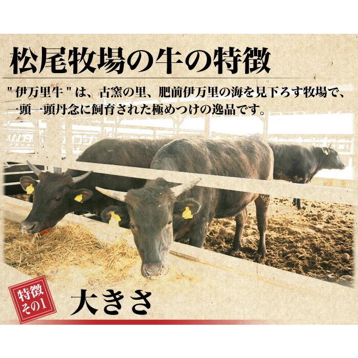 サーロイン 伊万里牛 和牛 ブロック 4kg 生産者直送 送料無料 ギフト 贈答品 お歳暮 のし対応 勝馬 松尾牧場 九州 佐賀 Block Sirloin 4k 流行はいつもここから Trend I 通販 Yahoo ショッピング