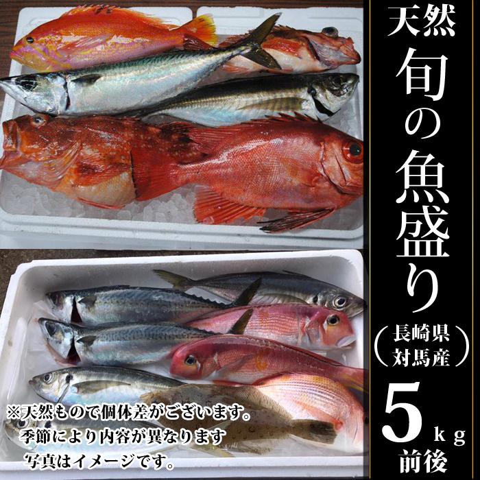 天然 旬の魚 詰め合わせ セット 長崎県 対馬 産 漁師厳選 5ｋｇ 漁師直送 生鮮 魚 送料無料 ギフト 贈答品 お歳暮 Kaikomaru02 流行はいつもここから Trend I 通販 Yahoo ショッピング