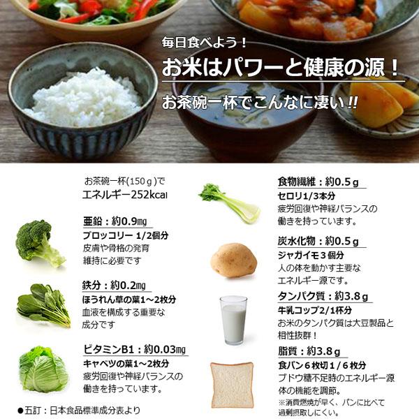 最安 食卓応援米 精米20kg 5kg×4本 国内産ブレンド米