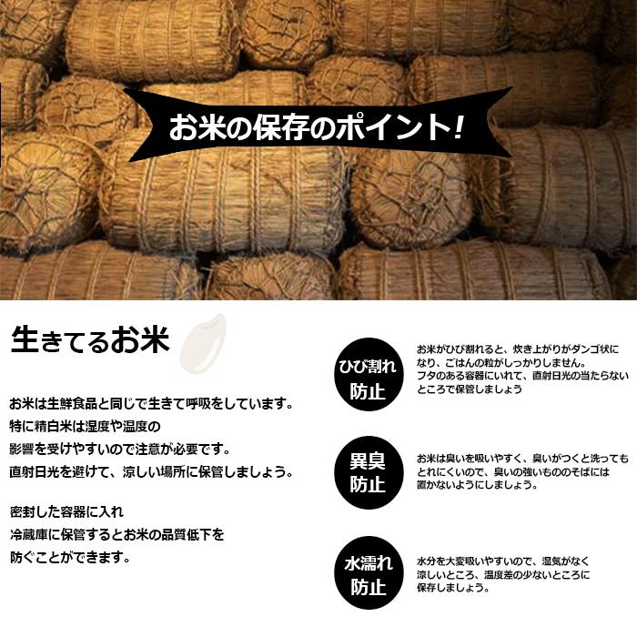 米25kg 米 お米 25kg ひのひかり ヒノヒカリ 5kg×5袋 セット 送料無料 こめ 小分け 精米 つきたて米 福岡県産｜trend-i｜11