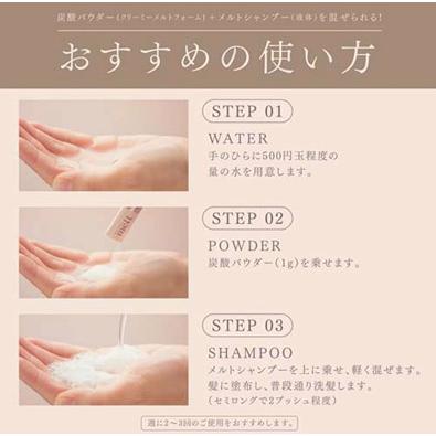 2個セット メルト クリーミーメルトフォーム 炭酸パウダー 1gx12包