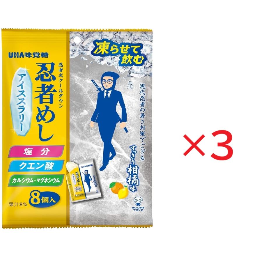 3個セット UHA味覚糖 忍者めし アイススラリー すっきり柑橘味 三条